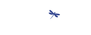 Dekorelement, trollslända - Spiransia Medveten Arbetsplats, koncept för utveckling av arbetsmiljö, samarbete, psykisk hälsa och motivation. Self-Determination Theory SDT, Inner Development Goals, IDG. Organisation, team, arbetsuppgifter, implementering, vardagsträning, grupparbete.