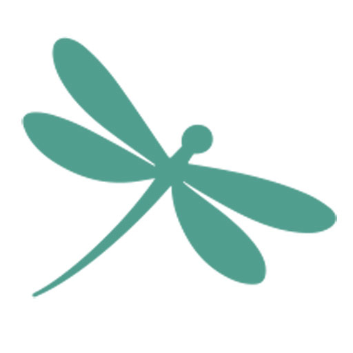 Trollslända - Spiransia Medveten Arbetsplats, koncept för utveckling av arbetsmiljö, samarbete, psykisk hälsa och motivation. Self-Determination Theory SDT, Inner Development Goals, IDG. Organisation, team, arbetsuppgifter, implementering, vardagsträning, grupparbete.