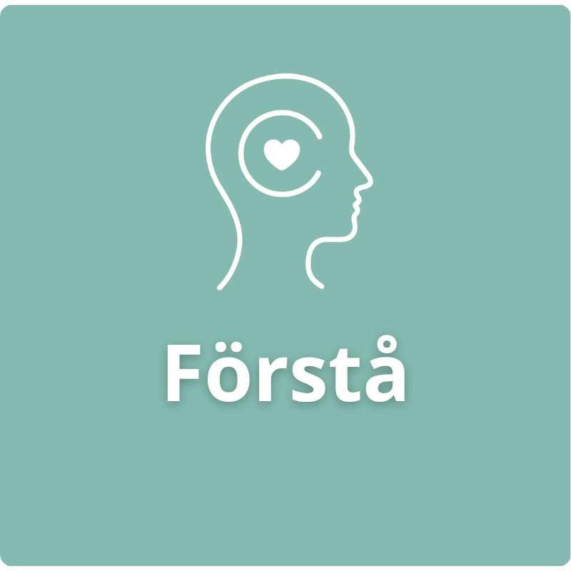 Förstå Symbol för första steget i Spiransias modell