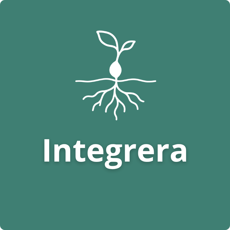 Integrera Symbol för första steget i Spiransias modell