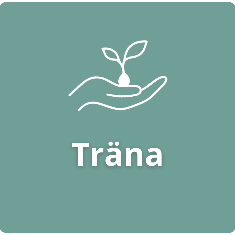 Träna Symbol för första steget i Spiransias modell